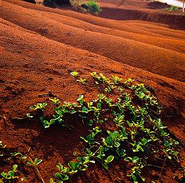 《虐杀原形》Steam国区解锁：139元，没有中文